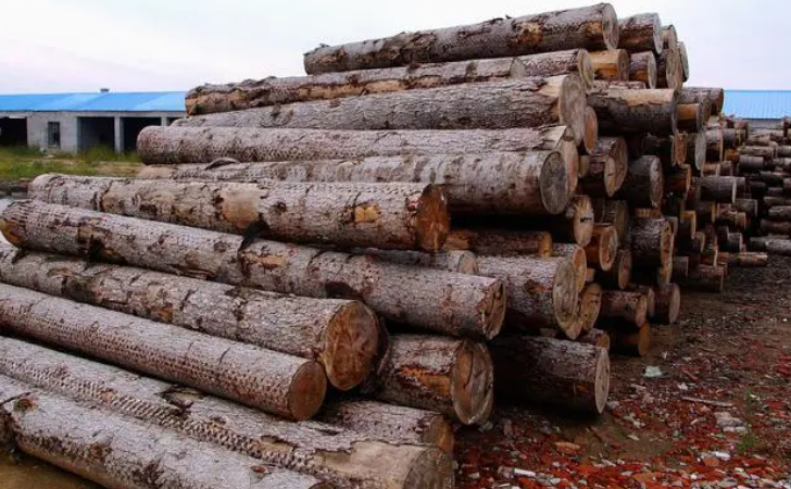 rb88随行版_首页官网入口