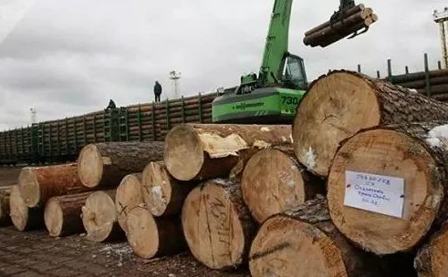 rb88随行版_首页官网入口