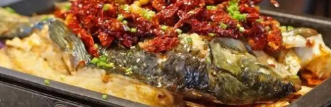 rb88随行版_首页官网入口