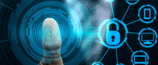 rb88随行版_首页官网入口