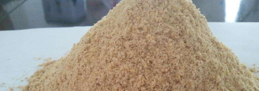 rb88随行版_首页官网入口