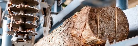 rb88随行版_首页官网入口