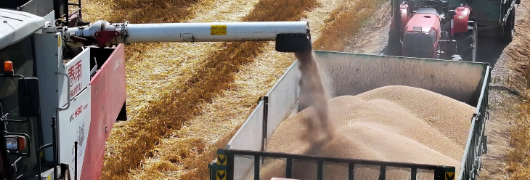 rb88随行版_首页官网入口