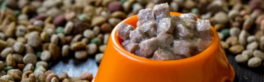 rb88随行版_首页官网入口