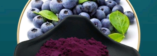 rb88随行版_首页官网入口