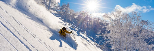 rb88随行版_首页官网入口