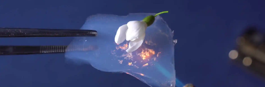 rb88随行版_首页官网入口