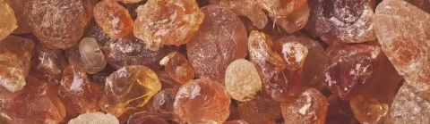 rb88随行版_首页官网入口