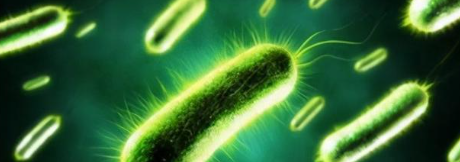 rb88随行版_首页官网入口