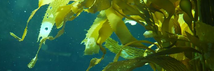 rb88随行版_首页官网入口