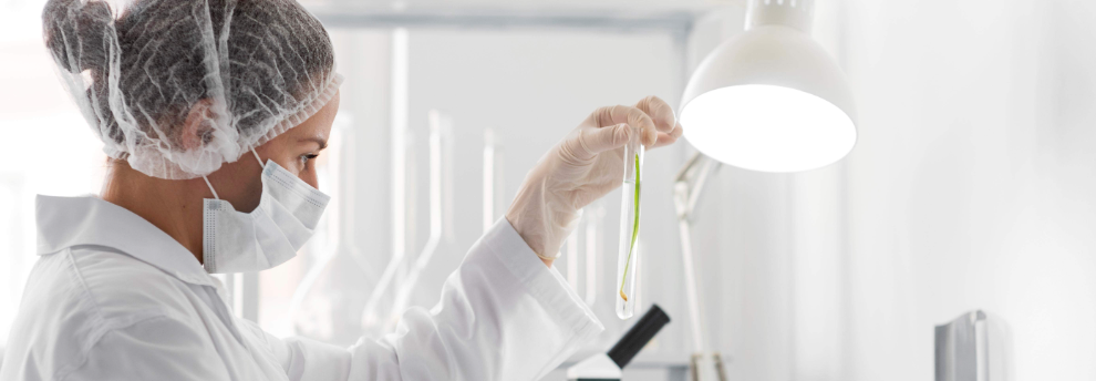 rb88随行版_首页官网入口