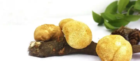 rb88随行版_首页官网入口