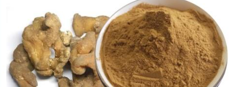 rb88随行版_首页官网入口