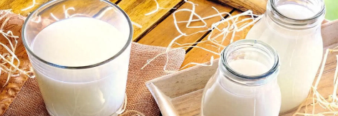 rb88随行版_首页官网入口