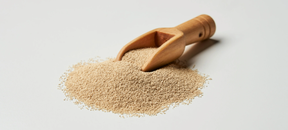 rb88随行版_首页官网入口