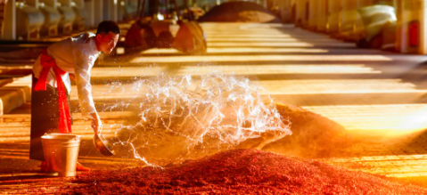 rb88随行版_首页官网入口