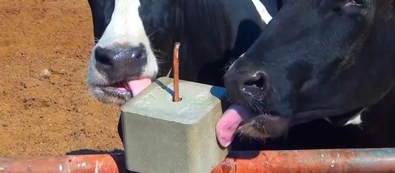 rb88随行版_首页官网入口