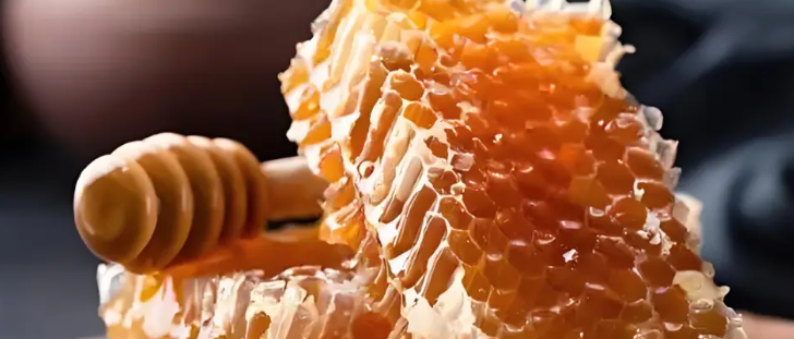 rb88随行版_首页官网入口