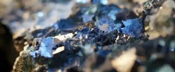 rb88随行版_首页官网入口