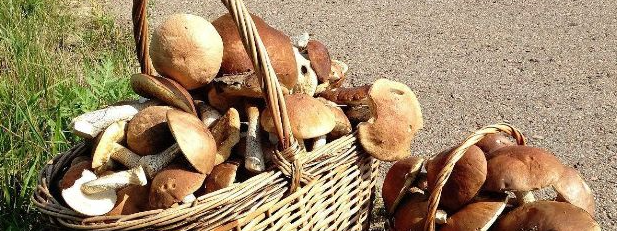 rb88随行版_首页官网入口