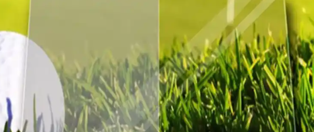 rb88随行版_首页官网入口