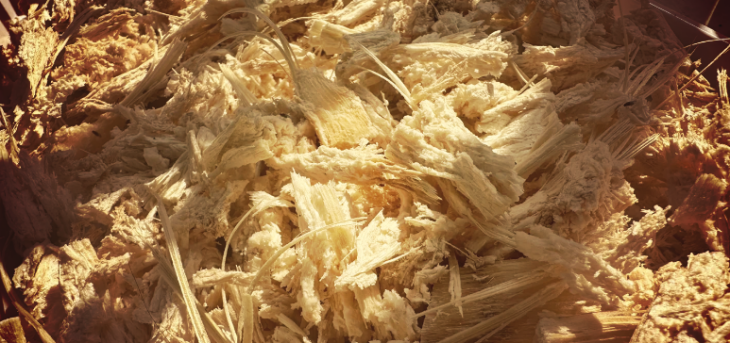 rb88随行版_首页官网入口