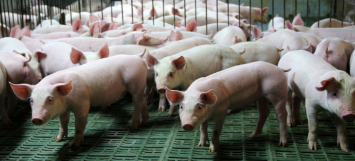 rb88随行版_首页官网入口