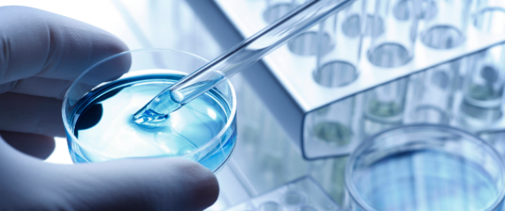 rb88随行版_首页官网入口