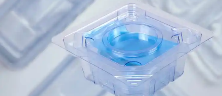 rb88随行版_首页官网入口