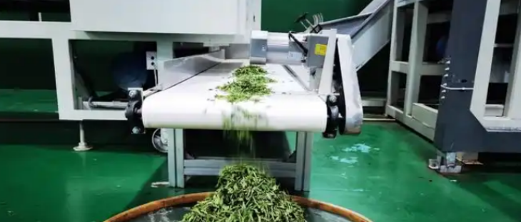 rb88随行版_首页官网入口