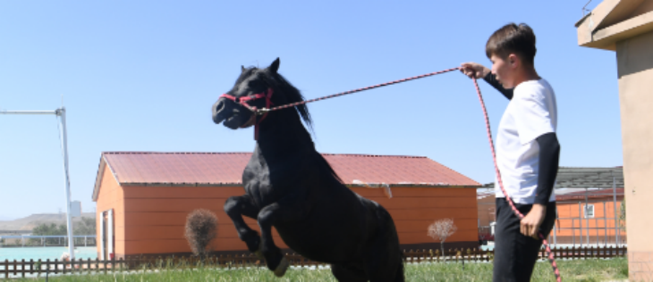 rb88随行版_首页官网入口