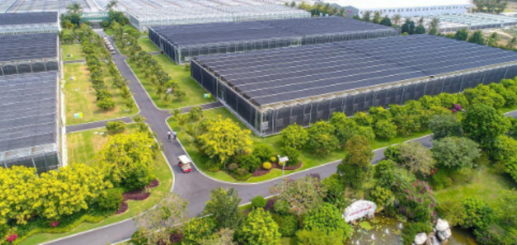 rb88随行版_首页官网入口